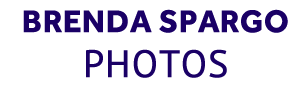 Brenda Spargo Photos