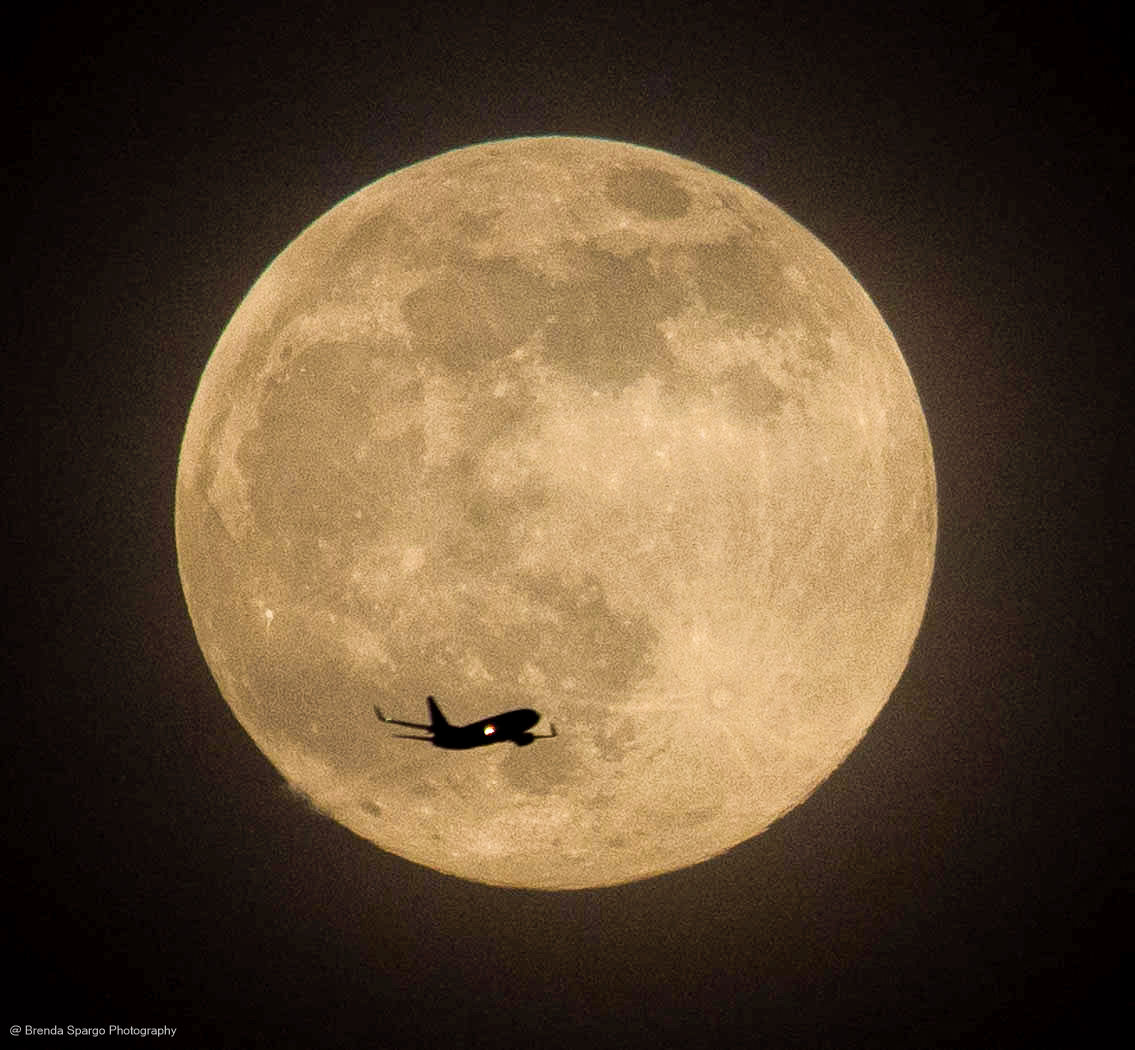 Fly Me Past the Moon